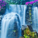 hawaii