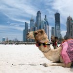 dubai-5